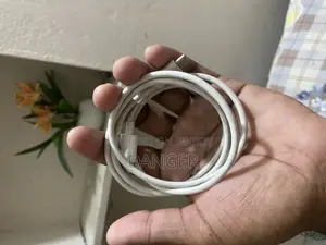 Google 30 Watt Charger