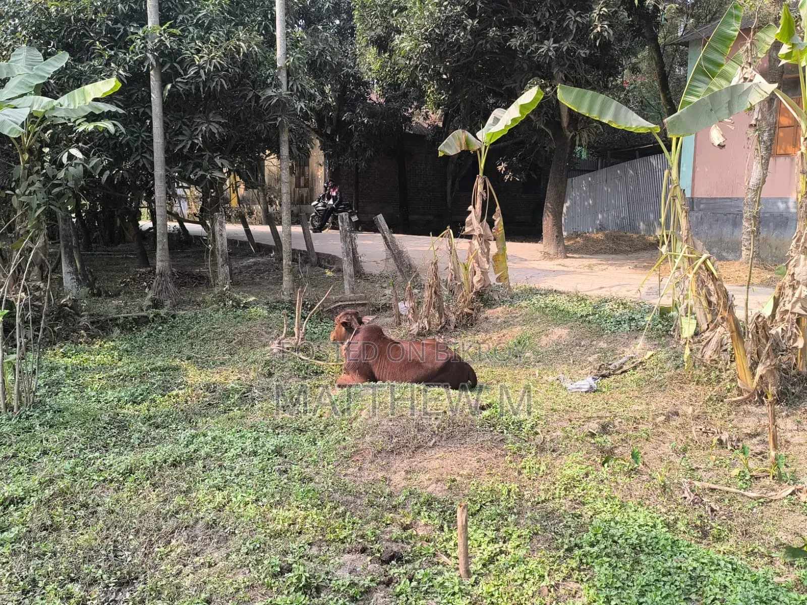 Private Land for Sale