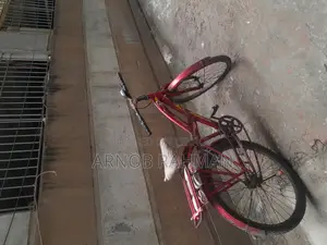 Tom Bike Bycicle