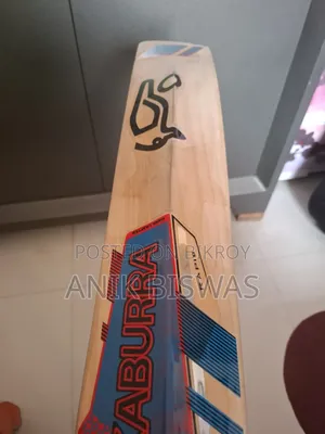 Kashmiri Willow Cricket Bat