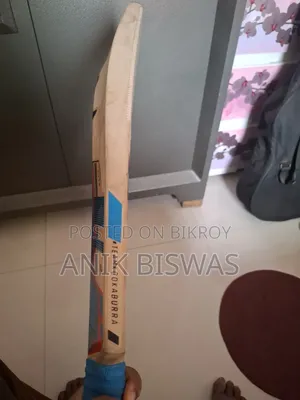 Kashmiri Willow Cricket Bat