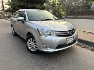 Toyota Axio 2014 Silver