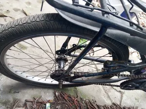 Bicycle Condition Full Fresh