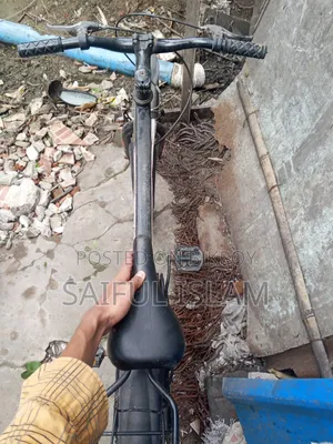 Bicycle Condition Full Fresh