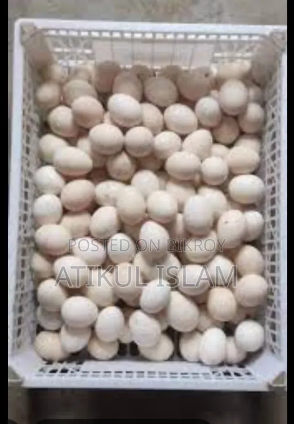 দেশি মুরগির পুষ্টিকর ডিম