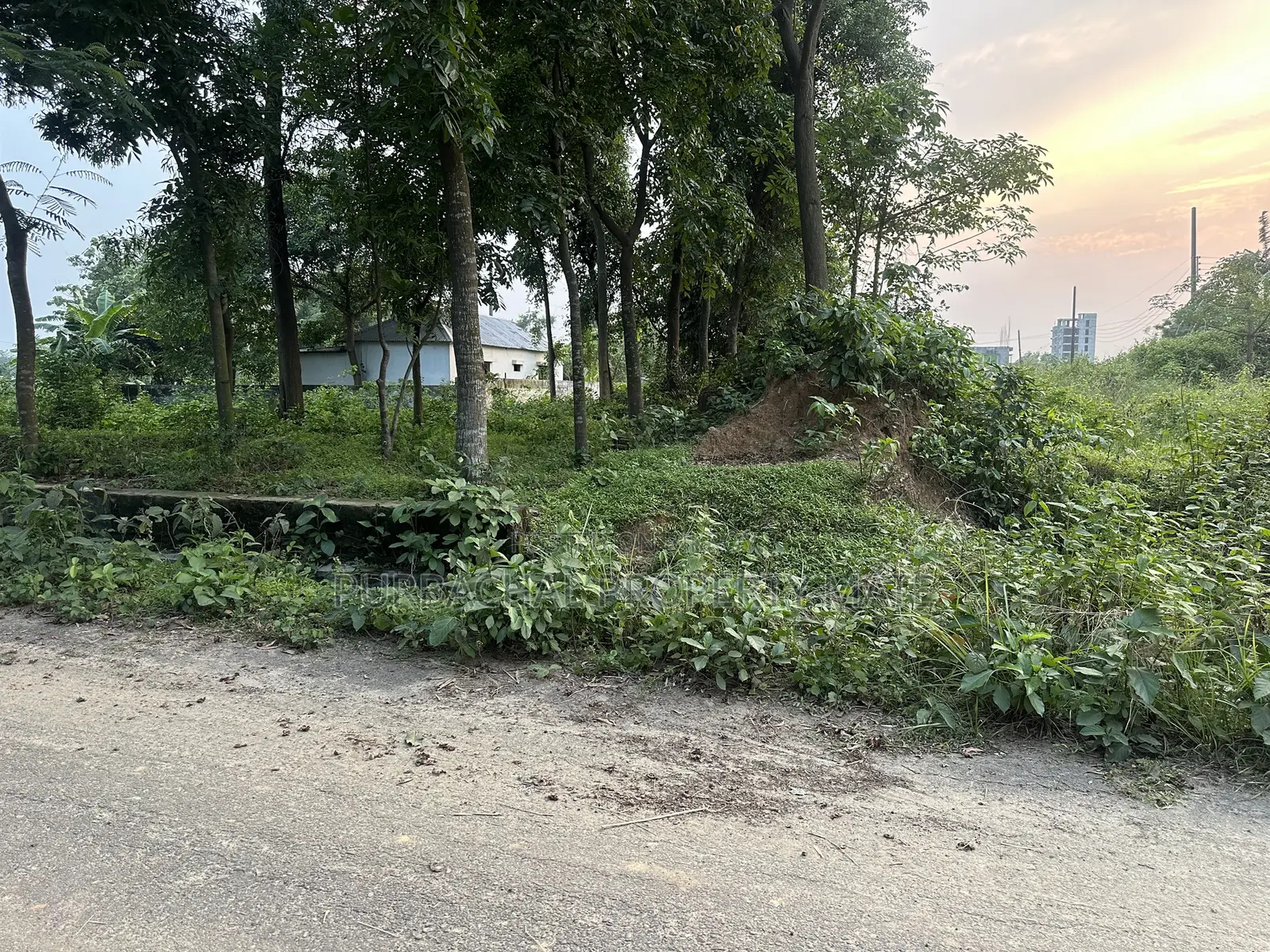 East-facing 3 Katha Plot for Sale in Purbachal Sector 5
