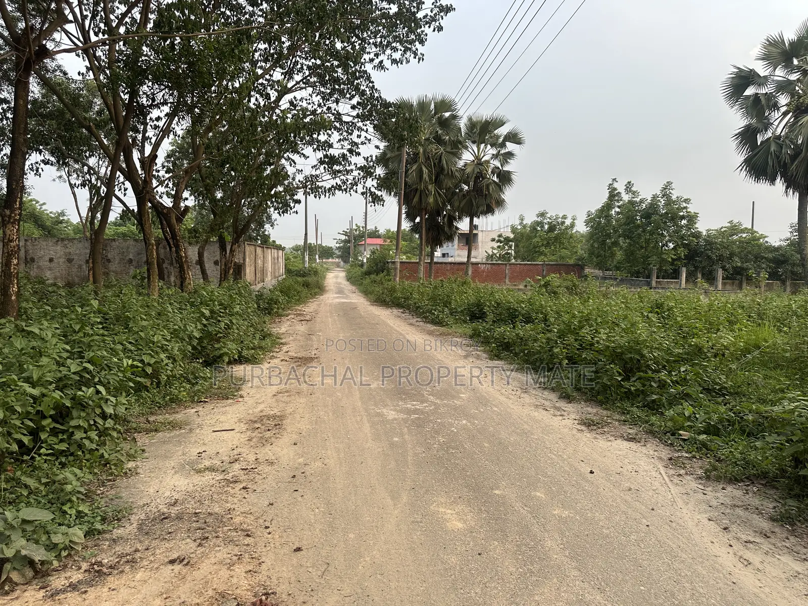 East-facing 3 Katha Plot for Sale in Purbachal Sector 5