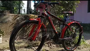 Express Bicycle With Additional Gear
