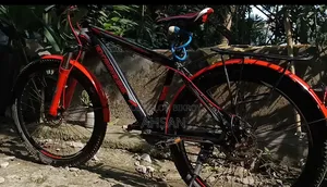 Express Bicycle With Additional Gear