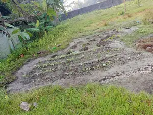 জমি বিক্রি