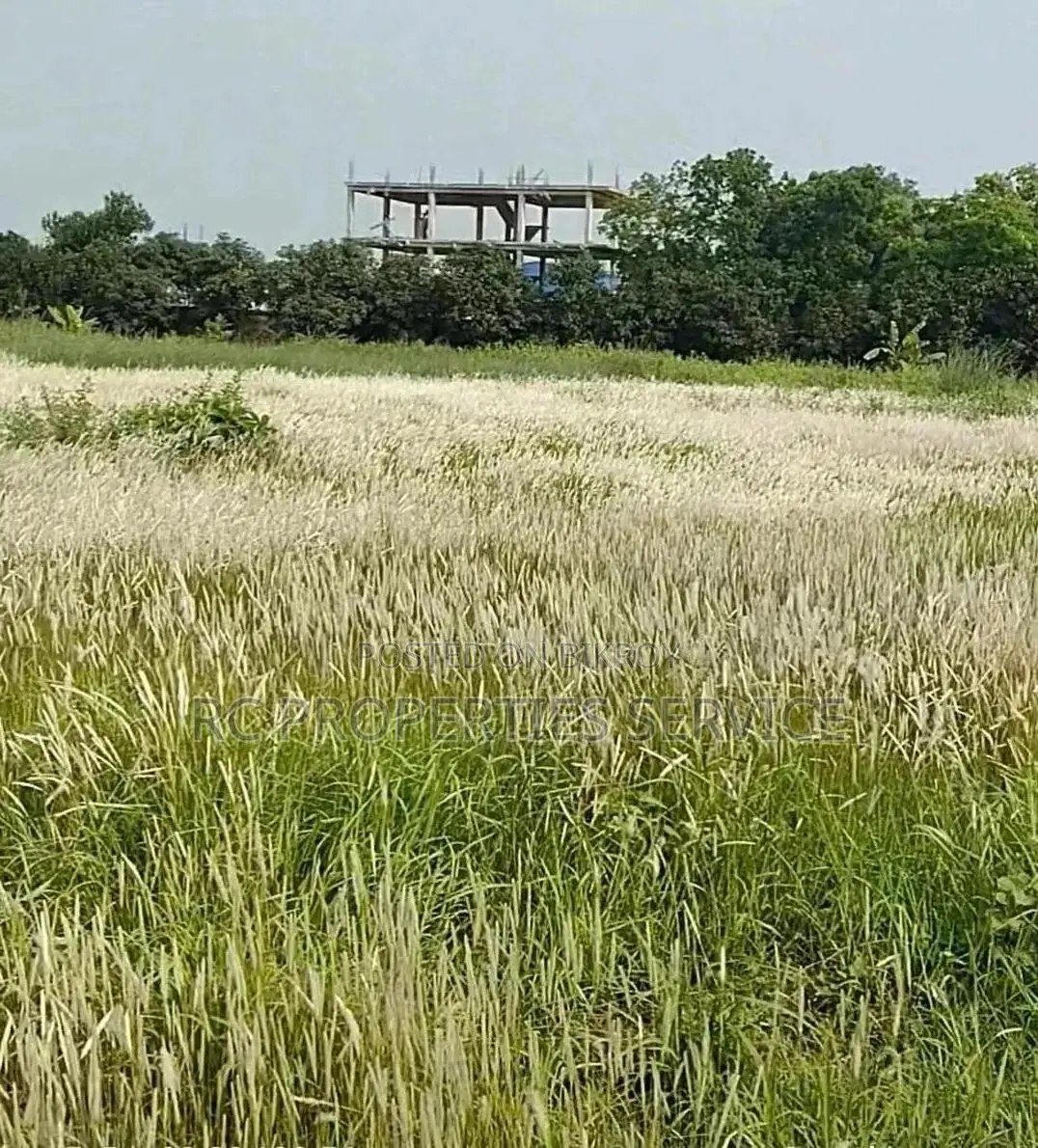 7 Bigha Land Rent