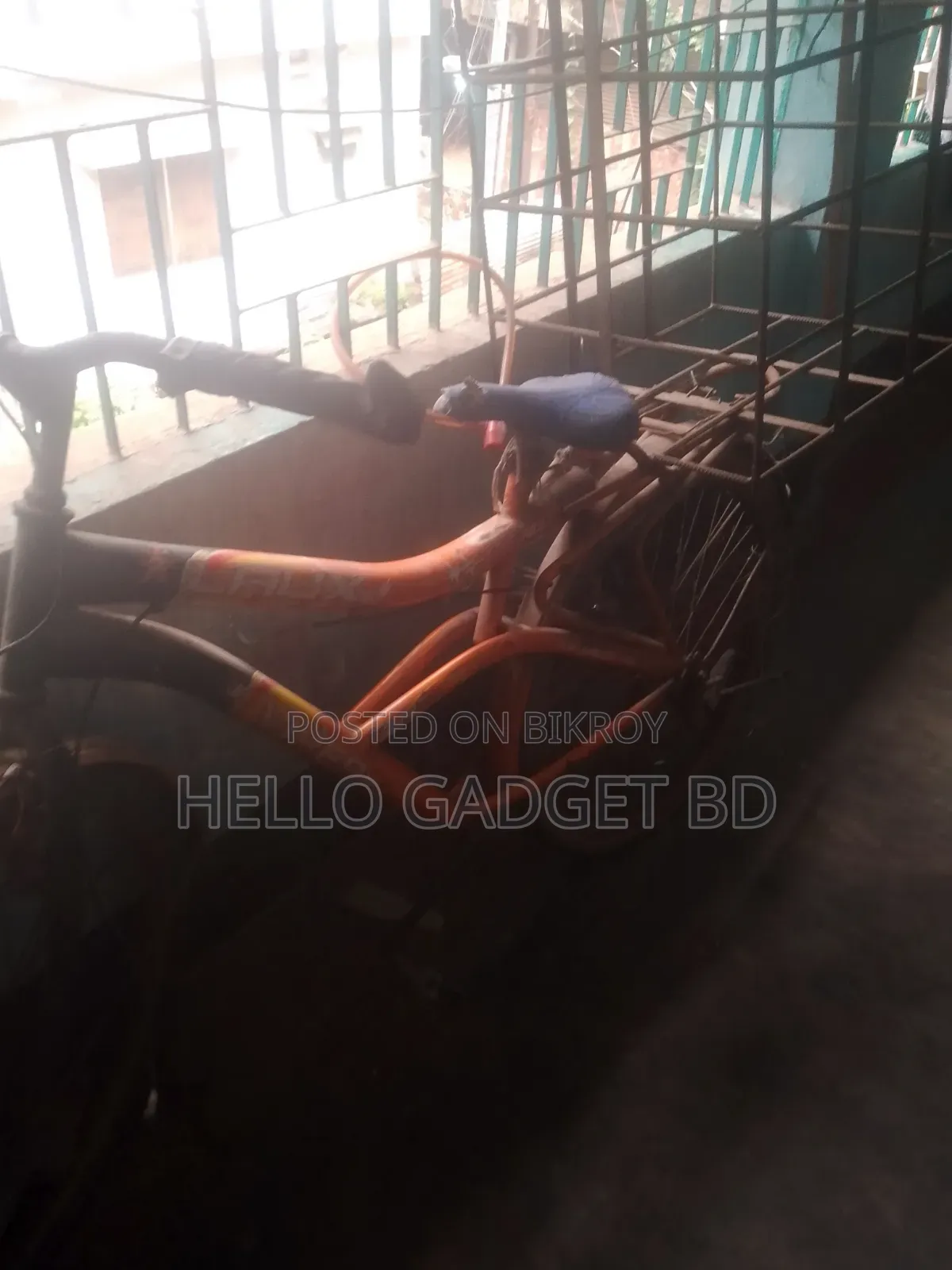 High-Quality Adult Bicycle