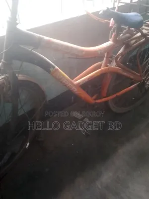 High-Quality Adult Bicycle