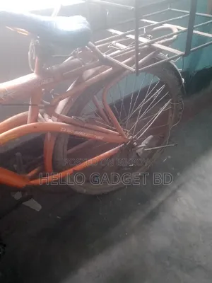High-Quality Adult Bicycle