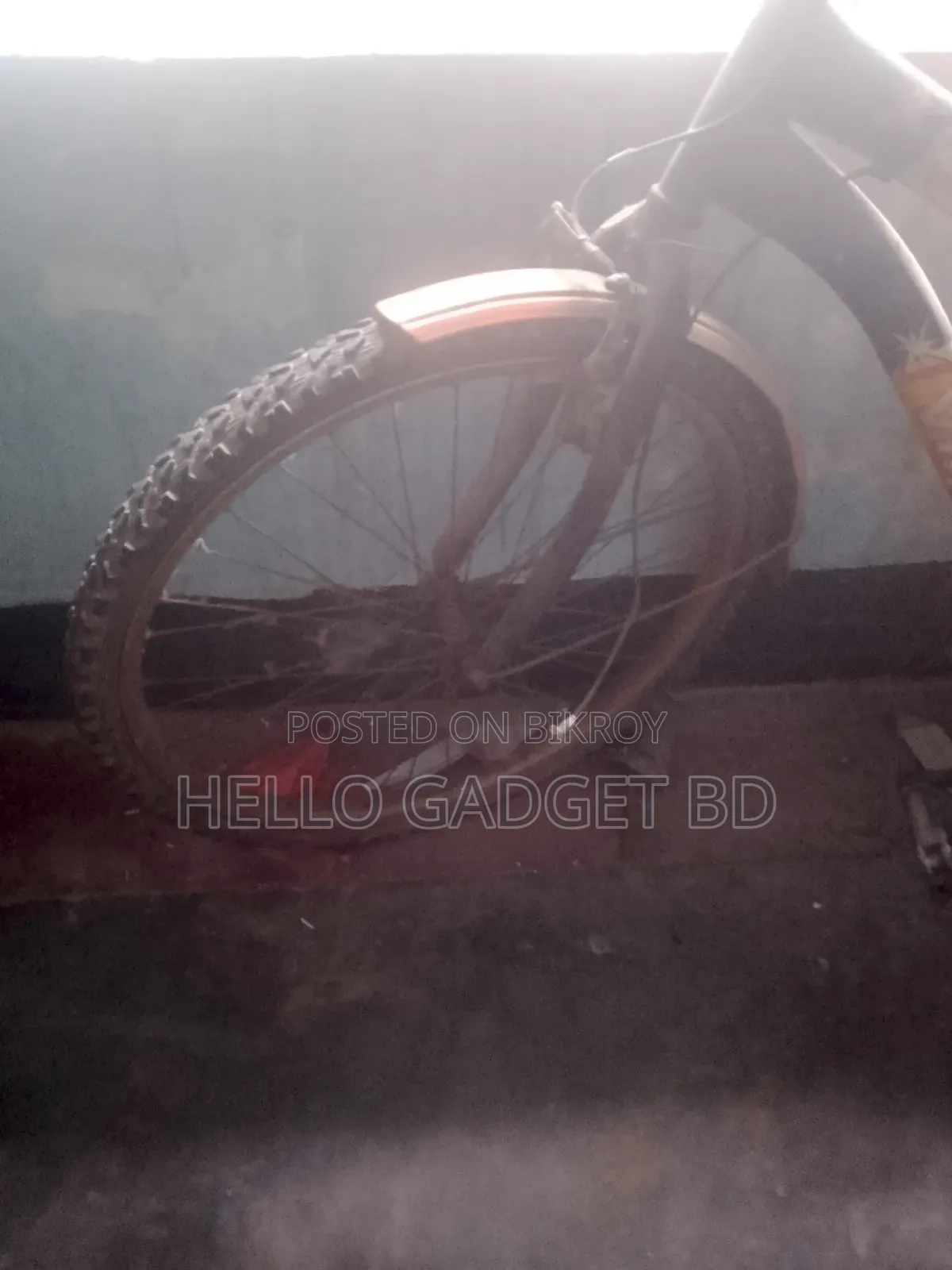 High-Quality Adult Bicycle