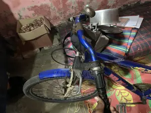 Non-Gear Bicycle