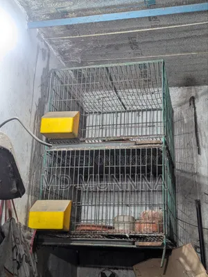 ২৪/২৪ মোটা রডের খাঁচা