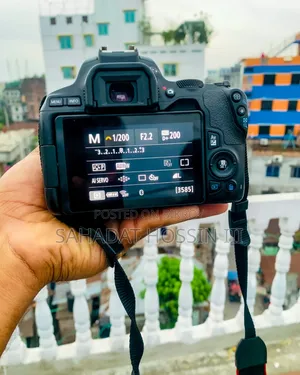 Canon 200dd Mark 2 | Canon 50mm STM Prime Lense