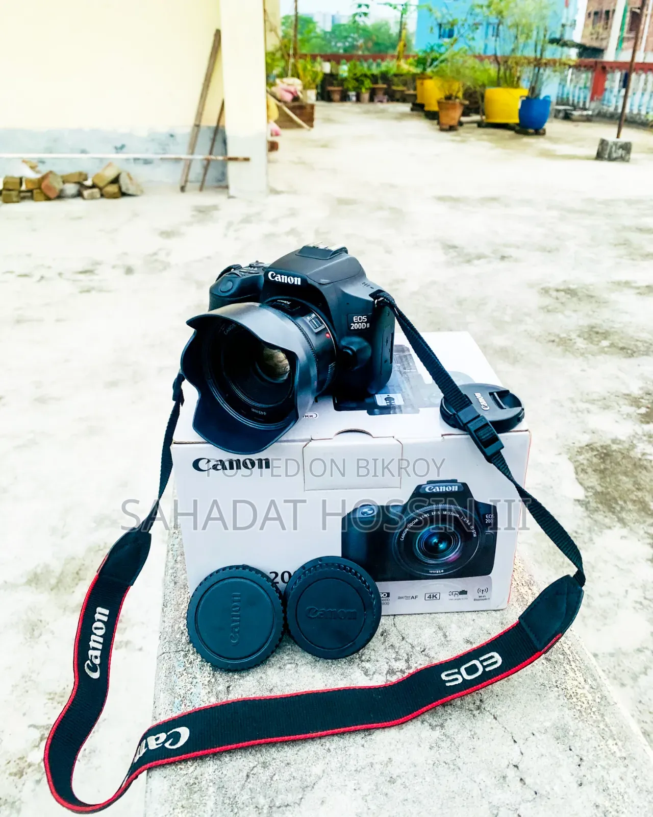 Canon 200dd Mark 2 | Canon 50mm STM Prime Lense