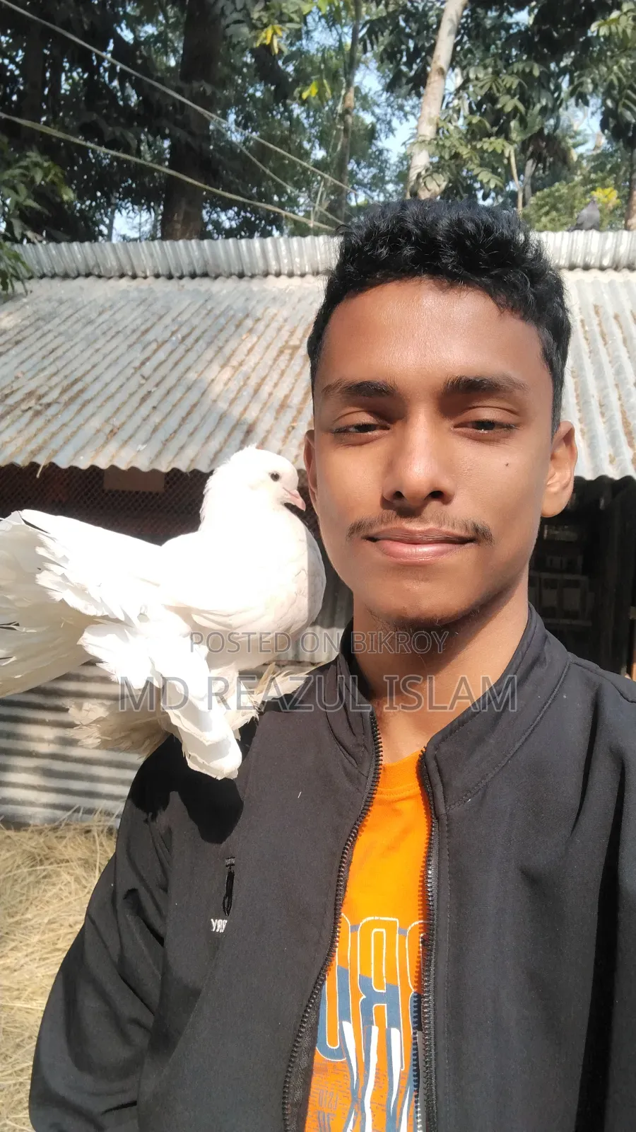 ময়ূরি /লক্ষা নর