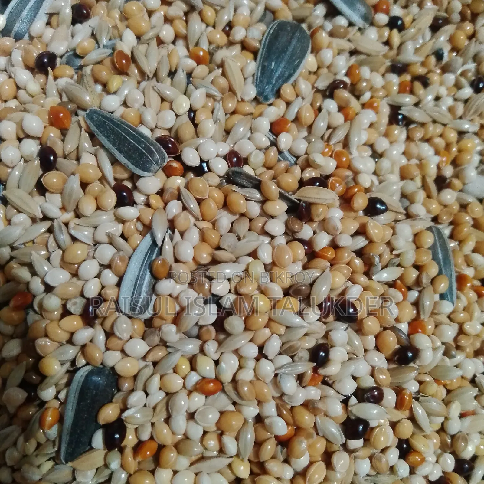Breeding Special Seedmix for Lovebirds and Cockatiels