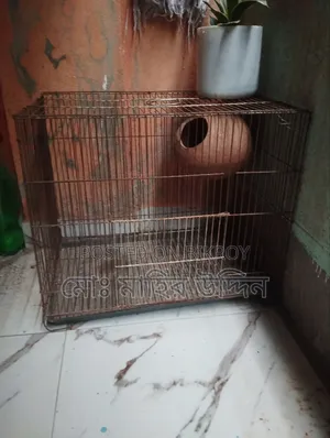 পাখির খাঁচা