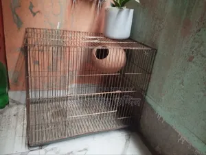 পাখির খাঁচা