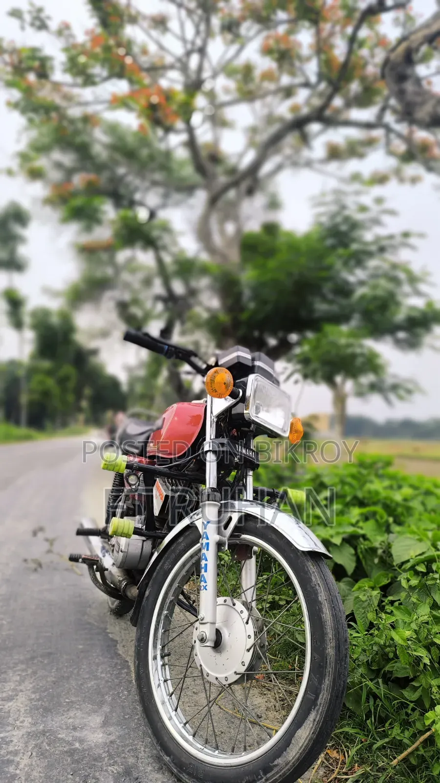 Yamaha 1994 Red
