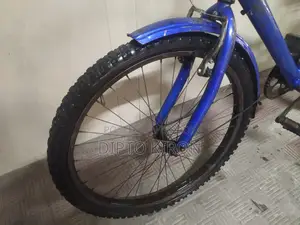 24 Size Non-Gear Cycle