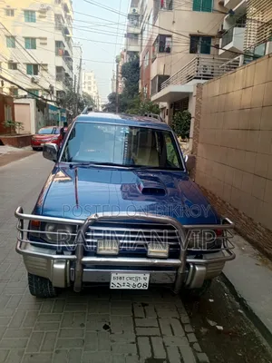 Mitsubishi Pajero 1993 Blue