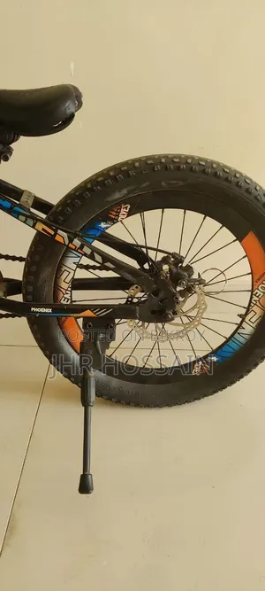 Phoenix Cycle 20 Size Perfect for Your Child