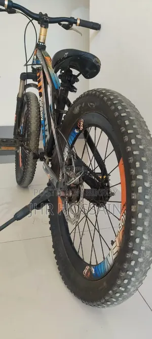 Phoenix Cycle 20 Size Perfect for Your Child