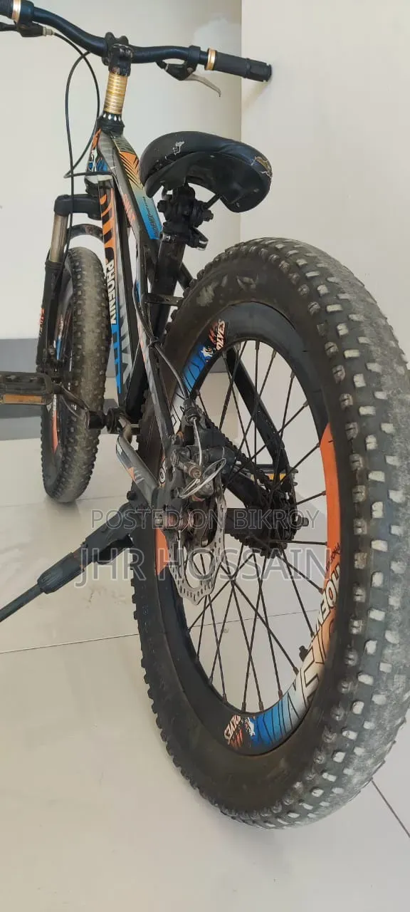 Phoenix Cycle 20 Size Perfect for Your Child