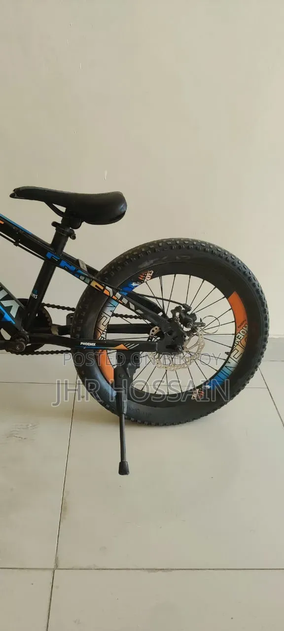 Phoenix Cycle 20 Size Perfect for Your Child