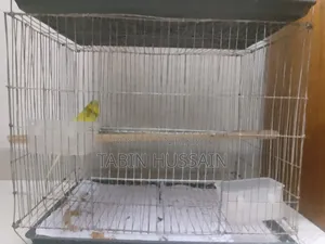 Cage Soho Full Adult Male Bajigar