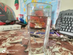 Mix Guppy Adult