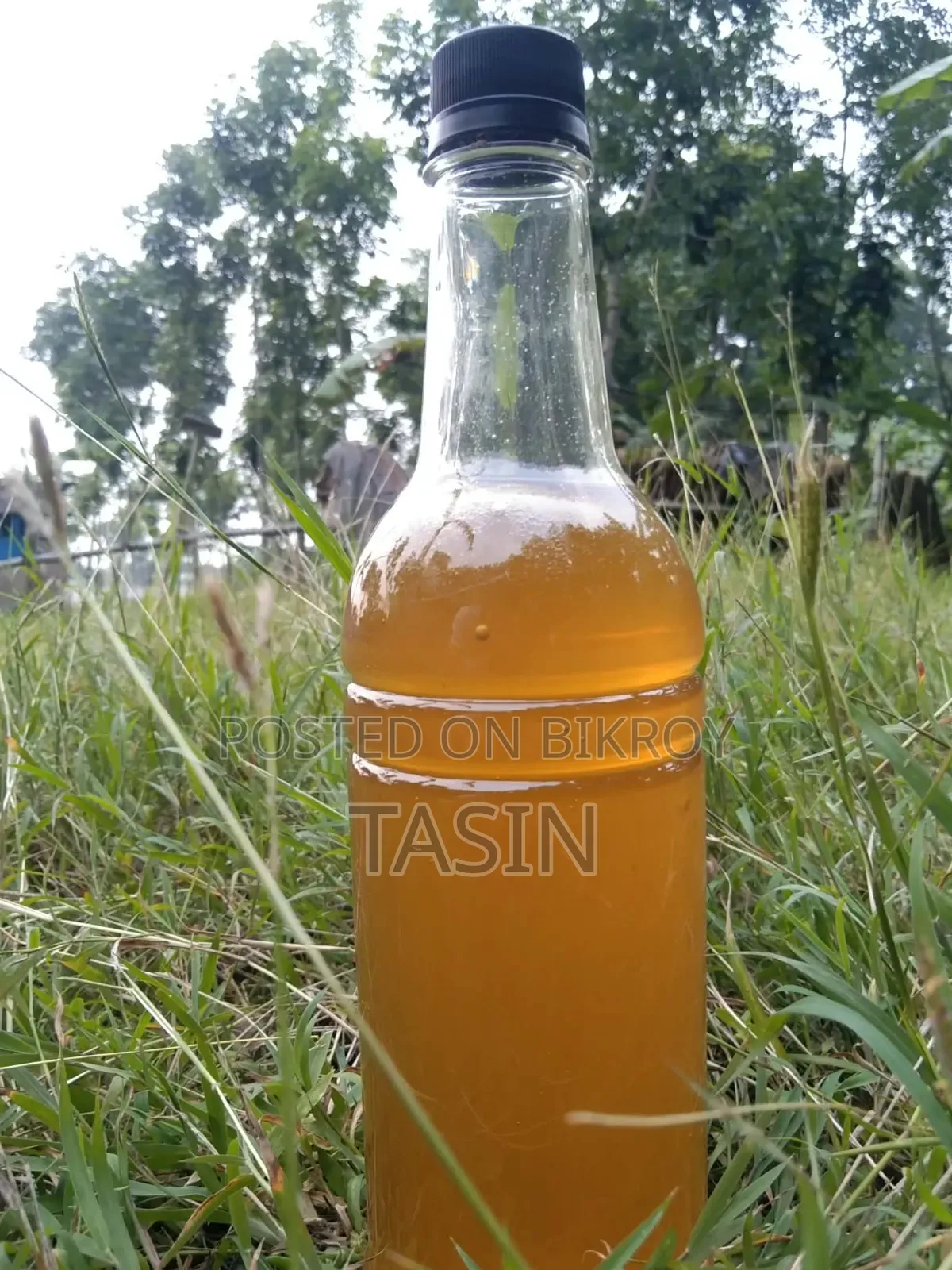 শতভাগ খাটি মধু