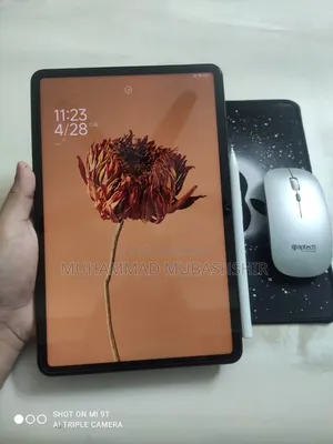 শাওমি প্যাড ৬ ২৫৬ জিবি গ্রে