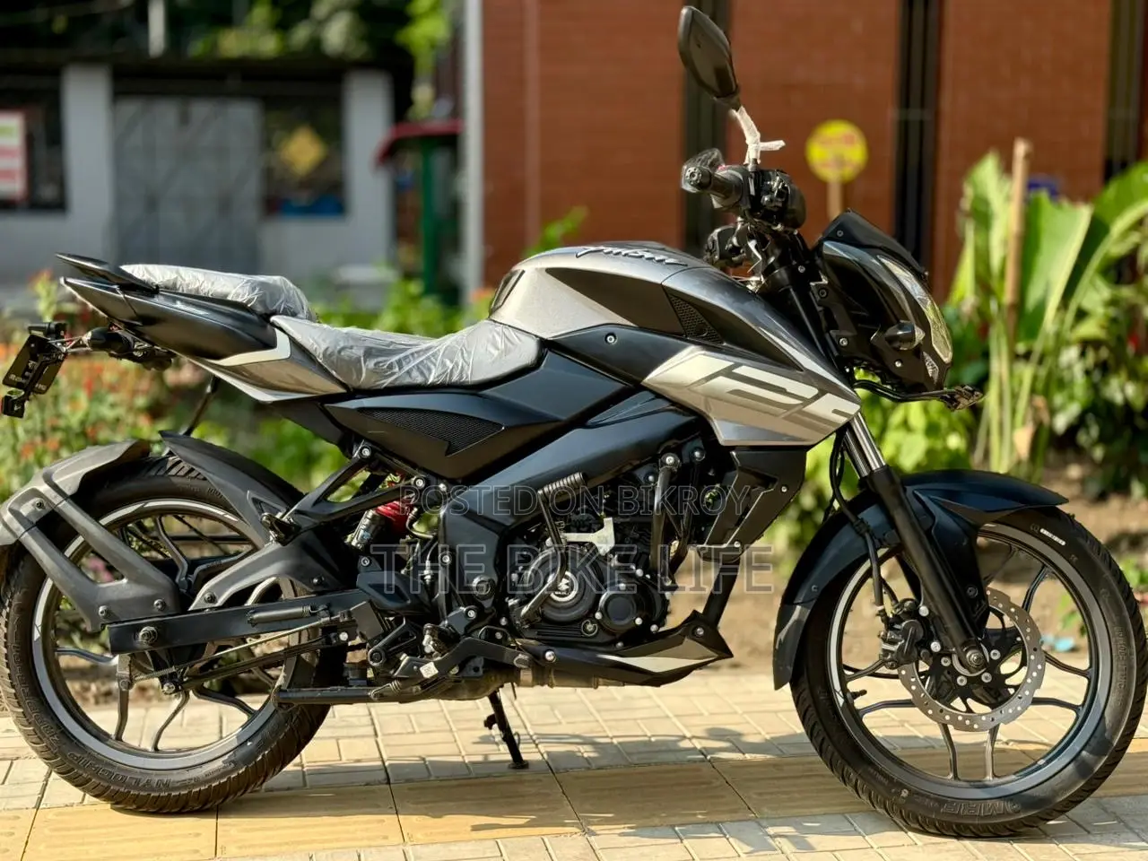 Bajaj Pulsar NS125 2025 Gray