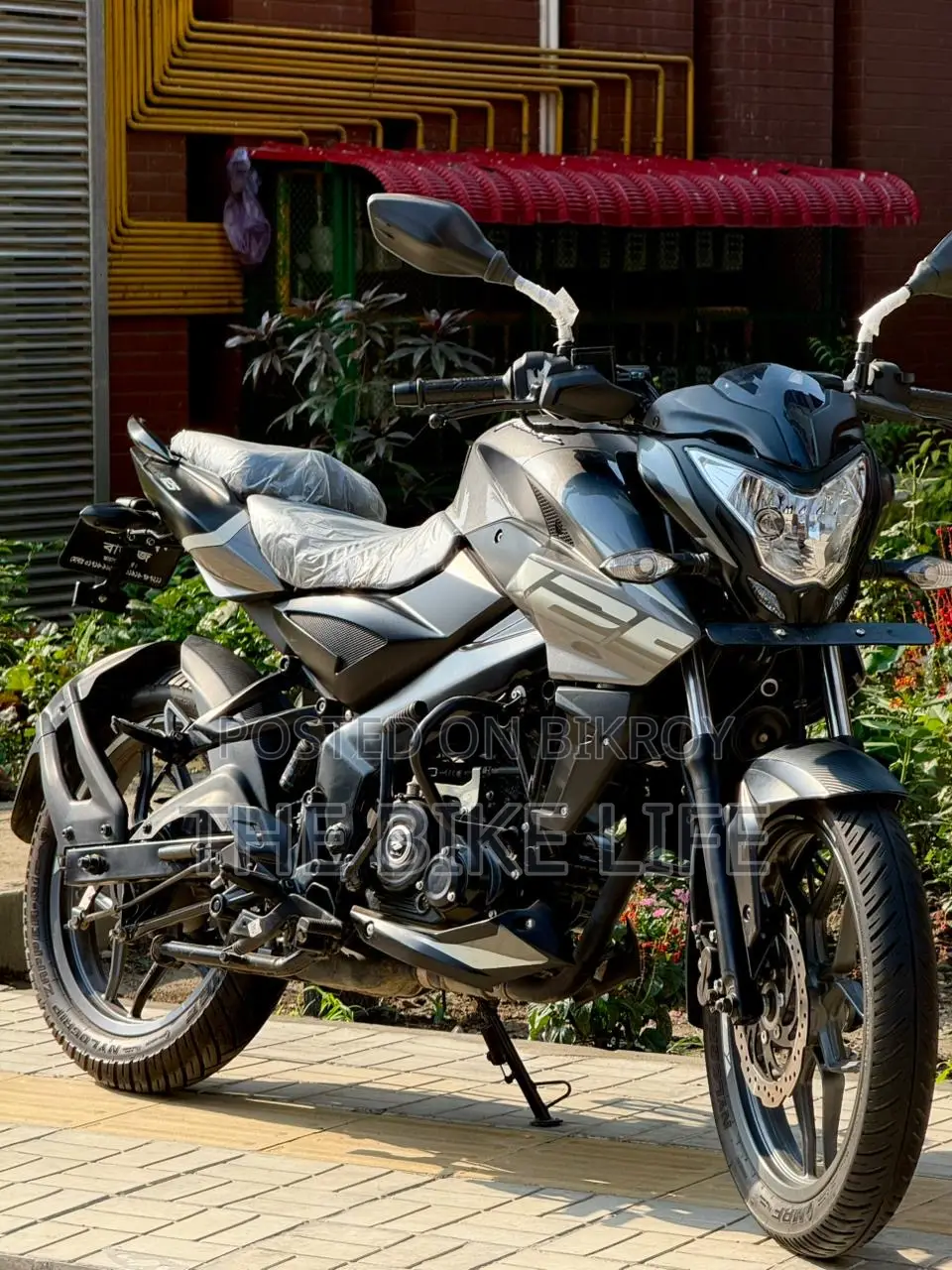 Bajaj Pulsar NS125 2025 Gray