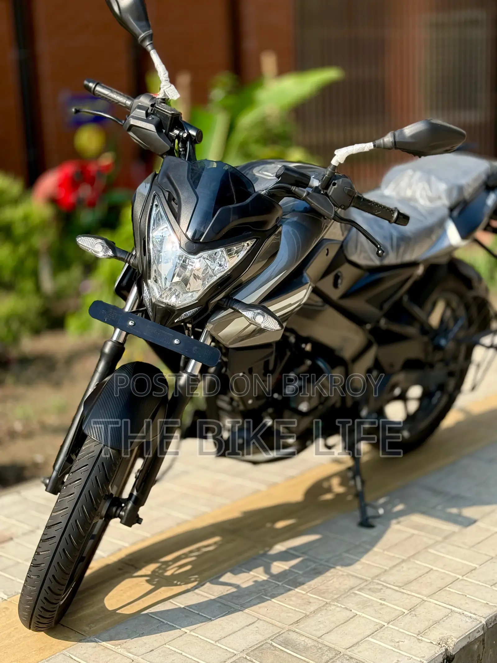 Bajaj Pulsar NS125 2025 Gray