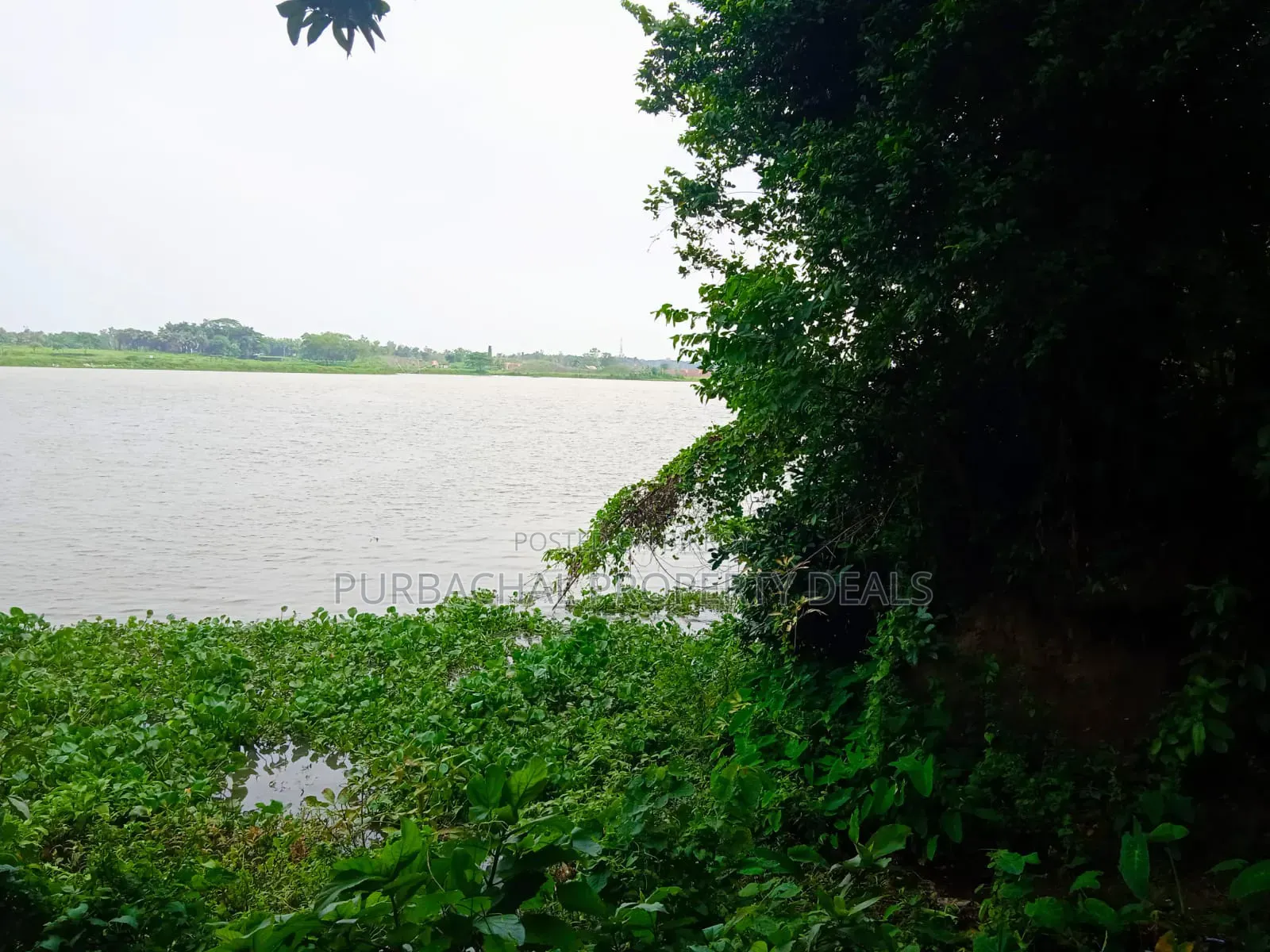 শীতলক্ষ্যা নদীর মনোরম পরিবেশে ২০ শতাংশ রেডি জমি বিক্রয়