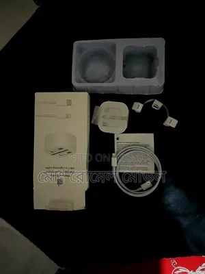 Apple iPhone Original Charger