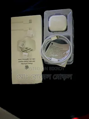 Apple iPhone Original Charger