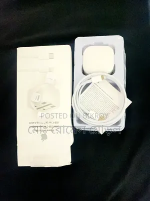 Apple iPhone Original Charger