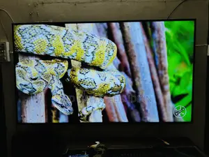 Samsung 65” Smart Tv