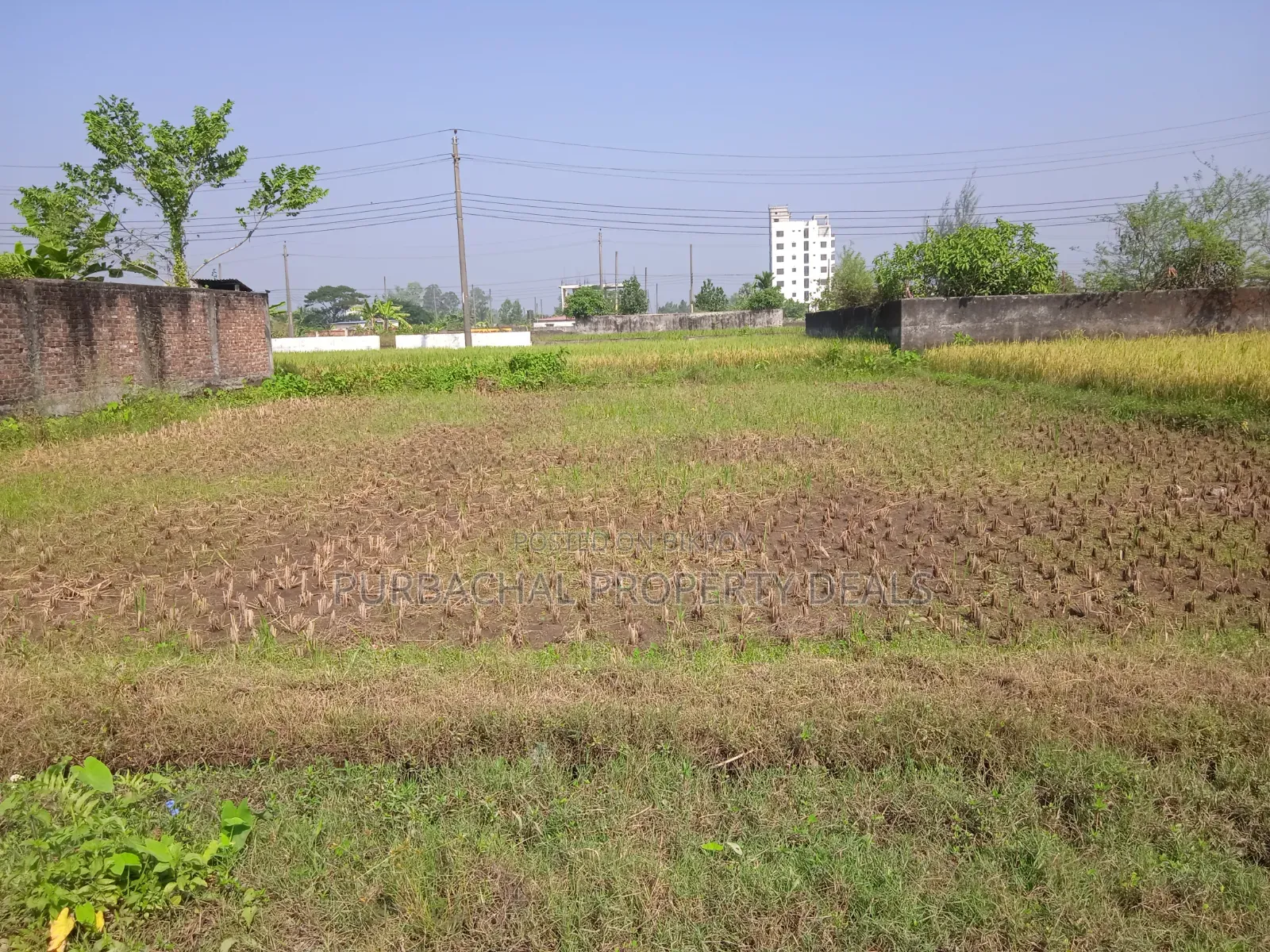 Ready 3 Katha Plot for Sale in Purbachal Sector-25