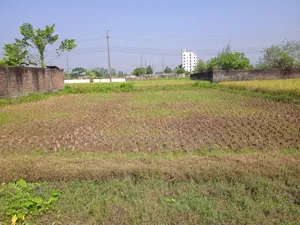 Ready 3 Katha Plot for Sale in Purbachal Sector-25