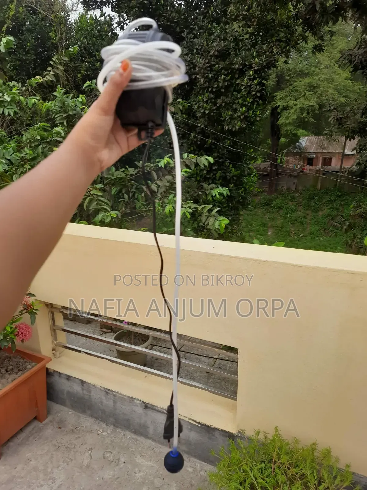 Oxygen pump for fish