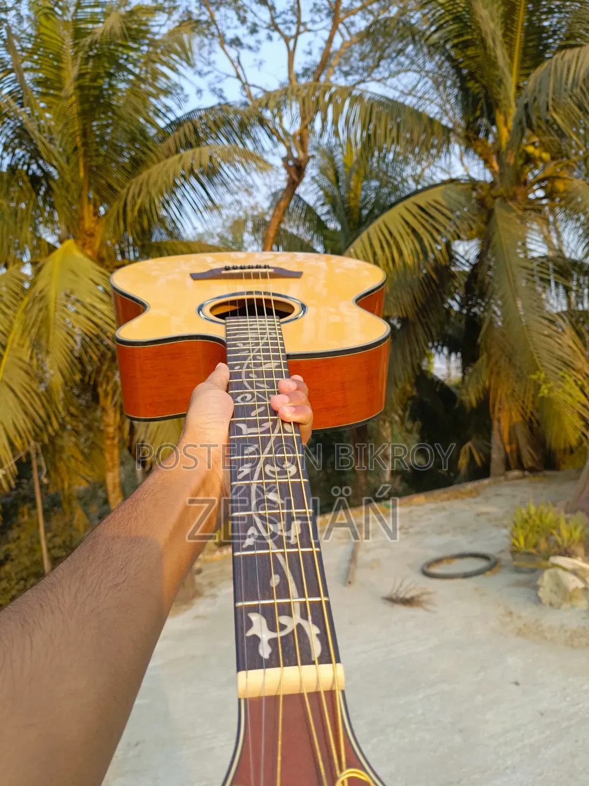 Guitar for Sale